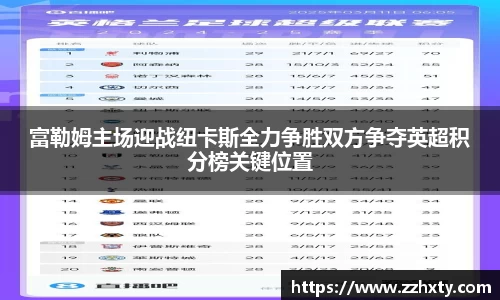 富勒姆主场迎战纽卡斯全力争胜双方争夺英超积分榜关键位置