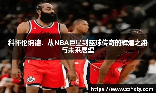 B体育bsports