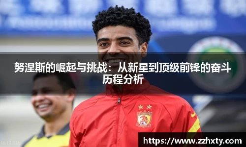 bsports官网入口