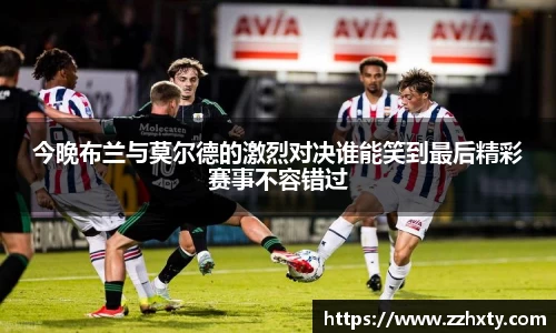 bsports官网入口