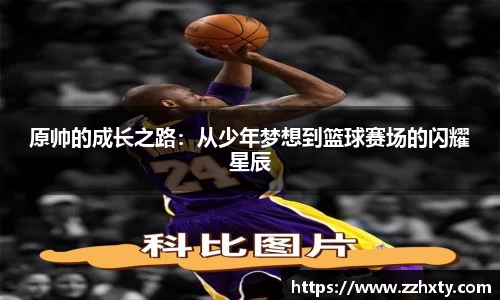 B体育官网
